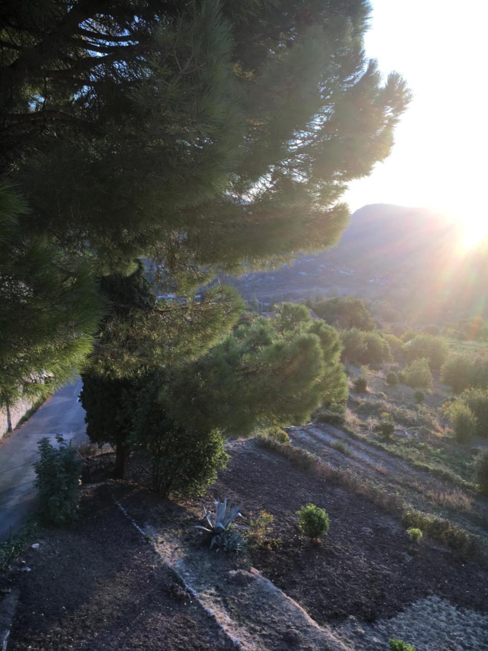 Hotel Particulier Des Jasmins Le Bar-sur-Loup Zewnętrze zdjęcie